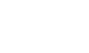 logo bianco